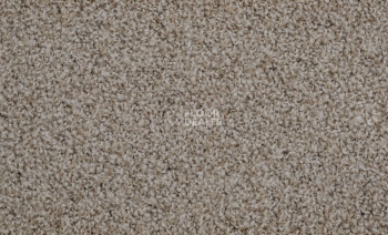 Ковролин Vorwerk Exclusive1009/Elara 8g81 фото 1 | FLOORDEALER